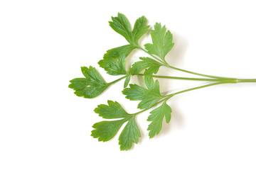 Parsley on white background - isolated