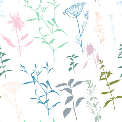Vector floral seamless pattern with wild meadow flowers, herbs and grasses. Thin delicate line silhouettes of different plants like sunflowers and basil.