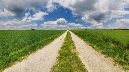 Feldweg in den Himmel