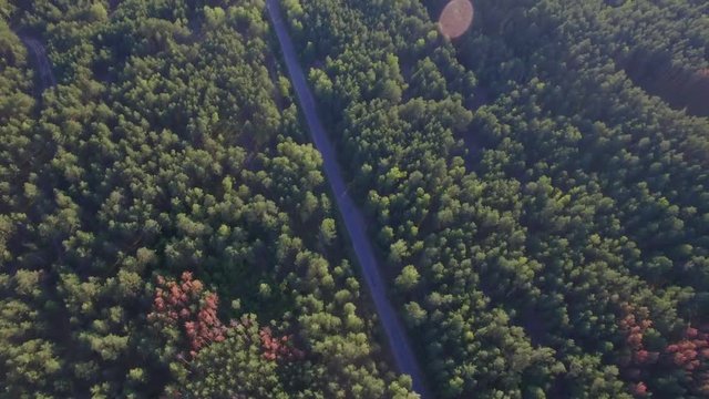 Crossroads From Forest To Local Road Aerial Shot By Drone Zooming Out 4k With Car Moving In A Distance. Birds Eye View Flying Over Old Patched Byway Among Pine Trees Of Dense Woods Growing Both Sides 