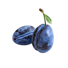 Two dark blue plums  isolated on white background