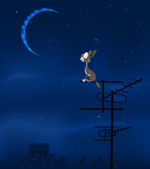 The Feral  Cat and the Moon  Cartoon Illustration