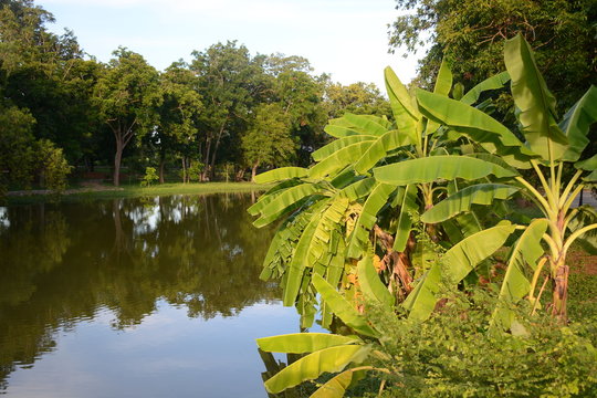 A river in Bang Rachan Memorial Park in Singburi Province, Thailand