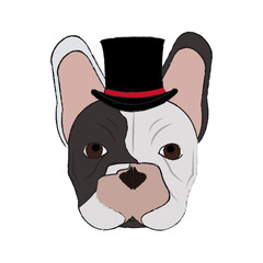 Hipster french bulldog of dog pet and animal theme Isolated design Vector illustration