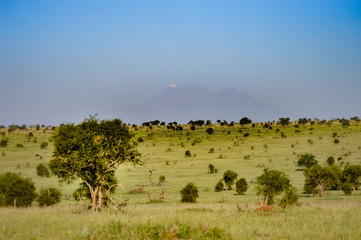 Fototapeta na wymiar View of the Tsavo East savannah