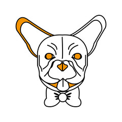 Hipster french bulldog of dog pet and animal theme Isolated design Vector illustration