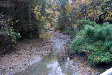 紅葉の秋 梅ヶ瀬渓谷