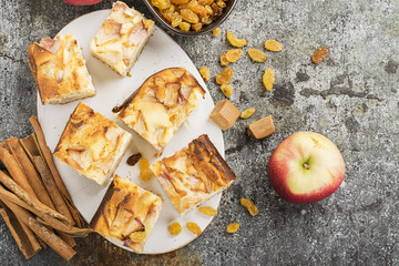 A simple homemade pie with apples and sour cream on a gray background with cinnamon sticks, an apple, caramel sweets. Top view. Selective focus.
