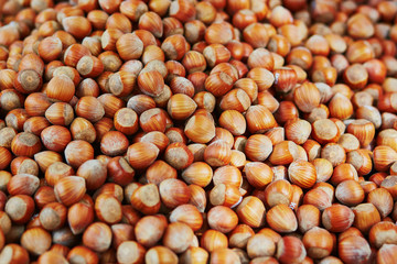Large heap of hazelnuts on market