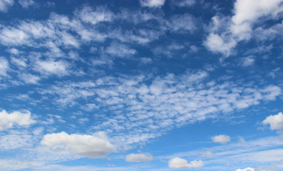 Obraz premium blue sky background with white clouds