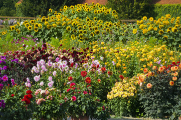 Herbstblumen