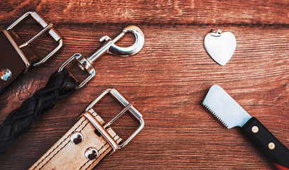 Pet accessories on wooden background. Top view. Pets and animals concept
