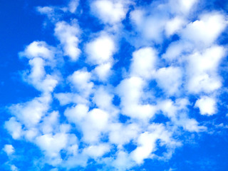 Obraz premium Scattering distributed white cloud pieces floating in bright blue sky