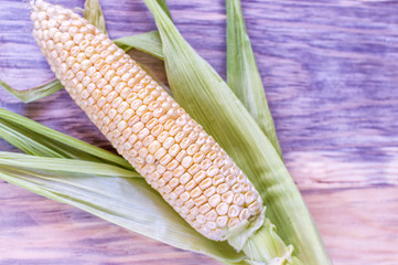 corn close up