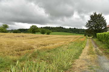 Chemin couvert de végétation sous la pluie ,longeant un champs de paille ,au Périgord Vert