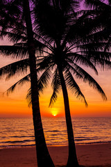 Naklejka na ściany i meble Palm trees silhouette at sunset. sunset and beach. Beautiful sunset above the sea