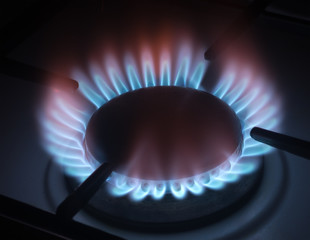 the gas burner