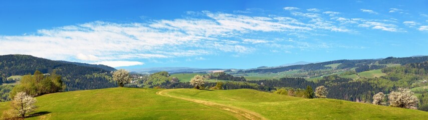 Fototapeta na wymiar springtime view from Carpathian Mountains