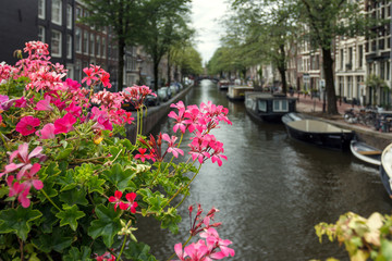 Fototapeta na wymiar Scenic views of Amsterdam.