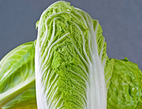 Chinease cabbage studio shot