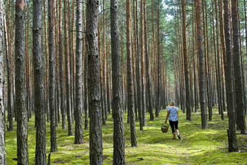 Woman picking up mashrooms in the forest