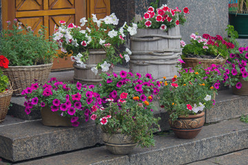 Fototapeta na wymiar Pots with flowers at the door of a cafe