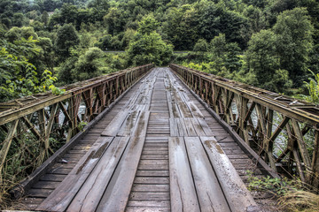 Fototapeta na wymiar An old bridge spanning the mountain river