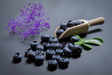 blueberries on black