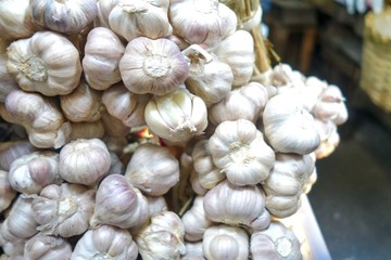 Bunch of garlic in market