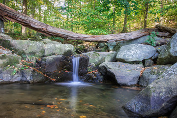 waterfall in forest woods with log crossing and large rocks