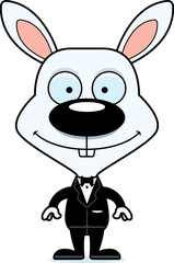 Cartoon Smiling Groom Bunny
