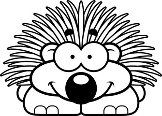 Smiling Little Porcupine