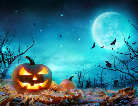 Pumpkin Glowing At Moonlight In The Spooky Forest - Halloween Scene
