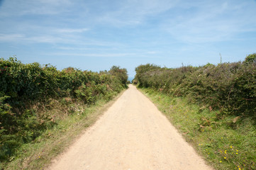 Rural paths in Sark