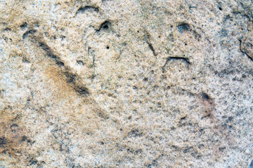  Worn pale white and black concrete wall texture background. Textured plaster