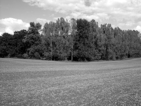 Neorealismus Bilder Durchsuchen 849 Archivfotos, und