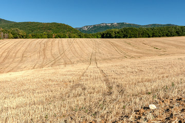 Cultivated cornfields against the hills of the mountains in France