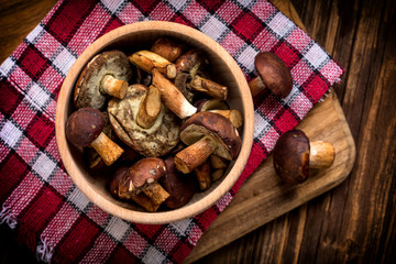 Forest mushroom in wooden bowl.