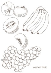 Vector Illustration of Hand Drawn Fruits - 170160951