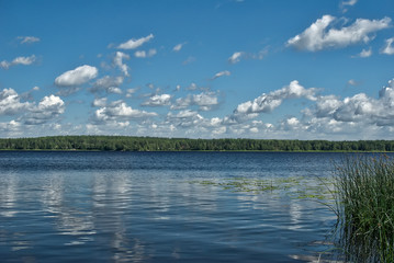 Sunny day on the lake