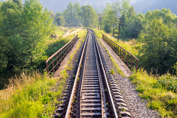 Obraz premium Travel, rest. A view of the railway tracks surrounded by trees, grass and bushes passing through the bridge. Horizontal frame