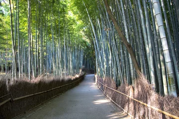 Crédence de cuisine en verre imprimé Bambou Forêt de bambous japonais à Arashiyama, Kyoto, JaponArashiyama () est un quartier agréable et touristique de la périphérie ouest de Kyoto.