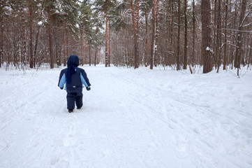 Fototapeta na wymiar A little boy walks alone in the winter forest