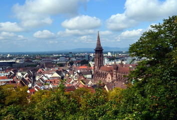 Blick auf Freiburg im Sp&auml;tsommer