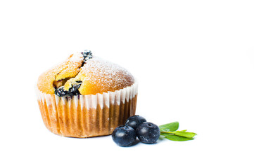 Blueberry muffins isolated on white