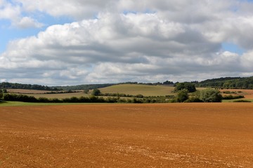 Obraz premium paysage 