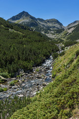 Obraz premium Amazing landscape with Valyavitsa river, Pirin Mountain, Bulgaria