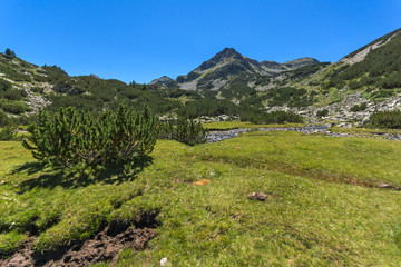 Fototapeta premium Amazing landscape with Valyavitsa river and Valyavishki chukar peak, Pirin Mountain, Bulgaria