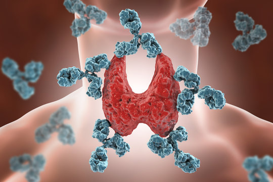 Thyroid Function Tests Market Thyroid Function Tests Market