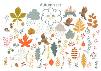 Set of hand-painted autumn elements